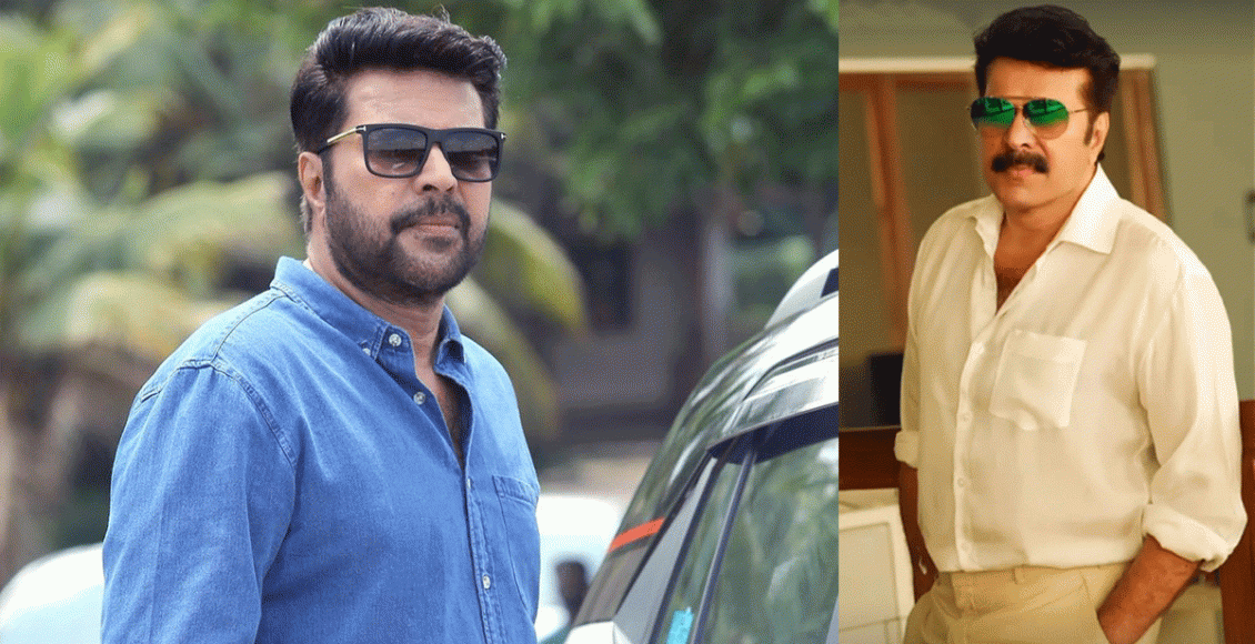 mammukka-new-look
