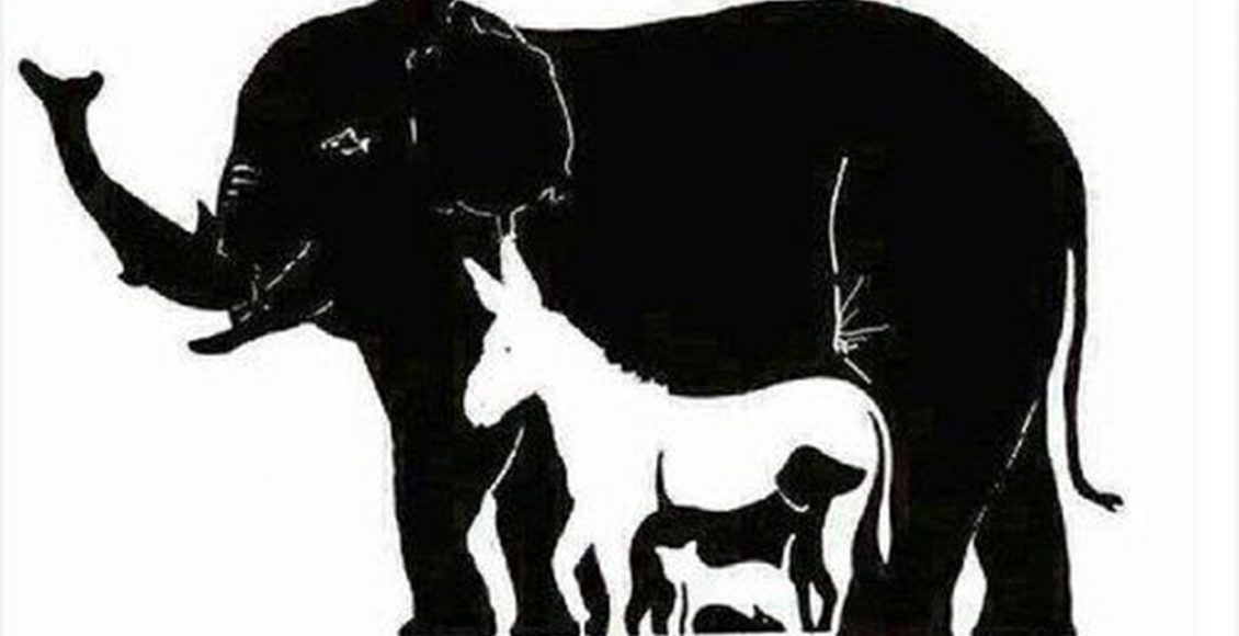 how-many-animals-can-you-see