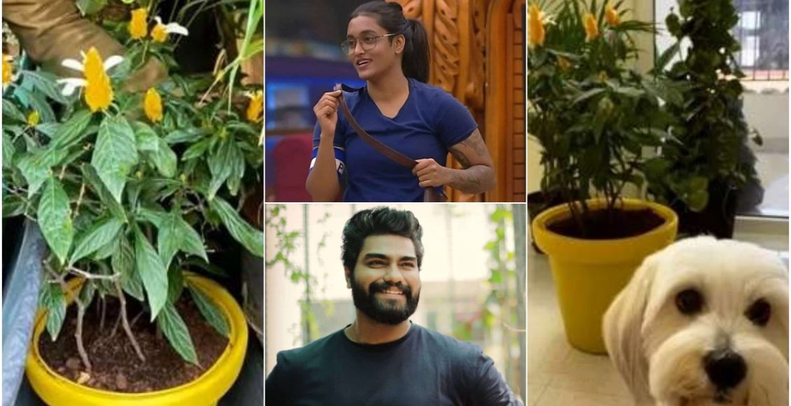 Dr Robin VS Jasmine Moosa Bigg Boss