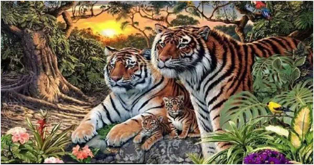 Optical Illusion Try To Find The Hidden Tigers In 40 Seconds