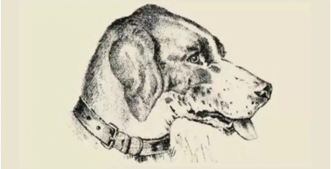 Optical Illusion Find The Hidden Face Of The Dog’s Owner Malayalam