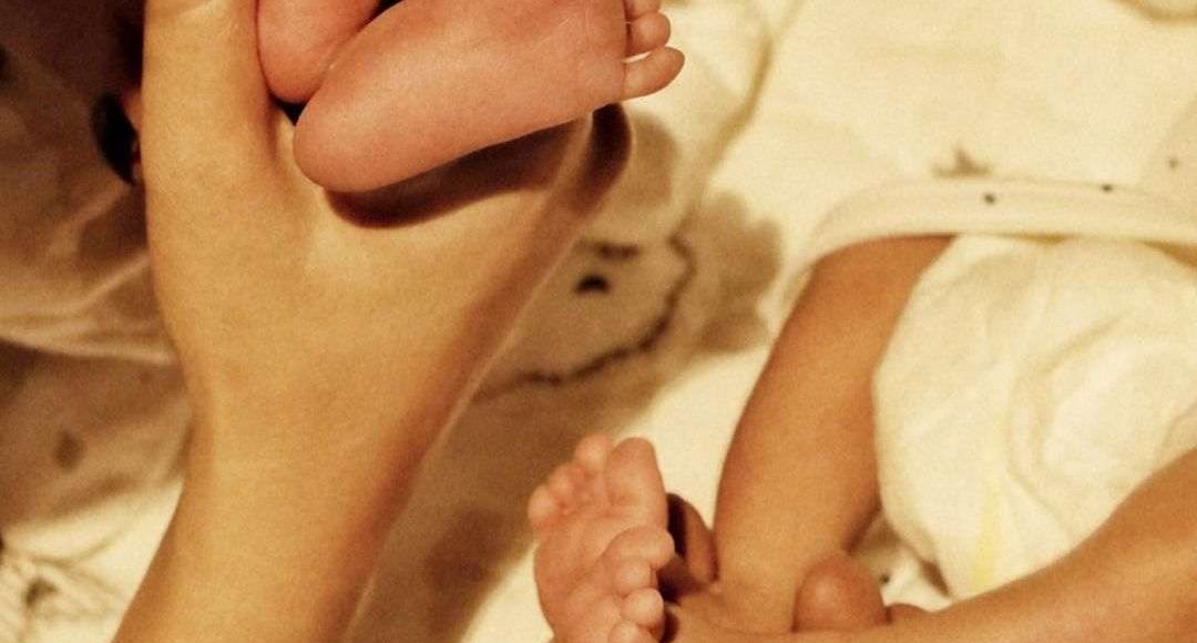 311050500_655729165894975_708924624792727658_n_11zon