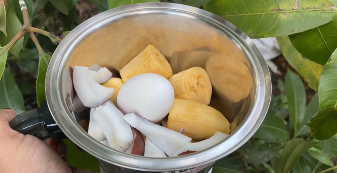 Banana Cocunut Snack Recipe Malayalam