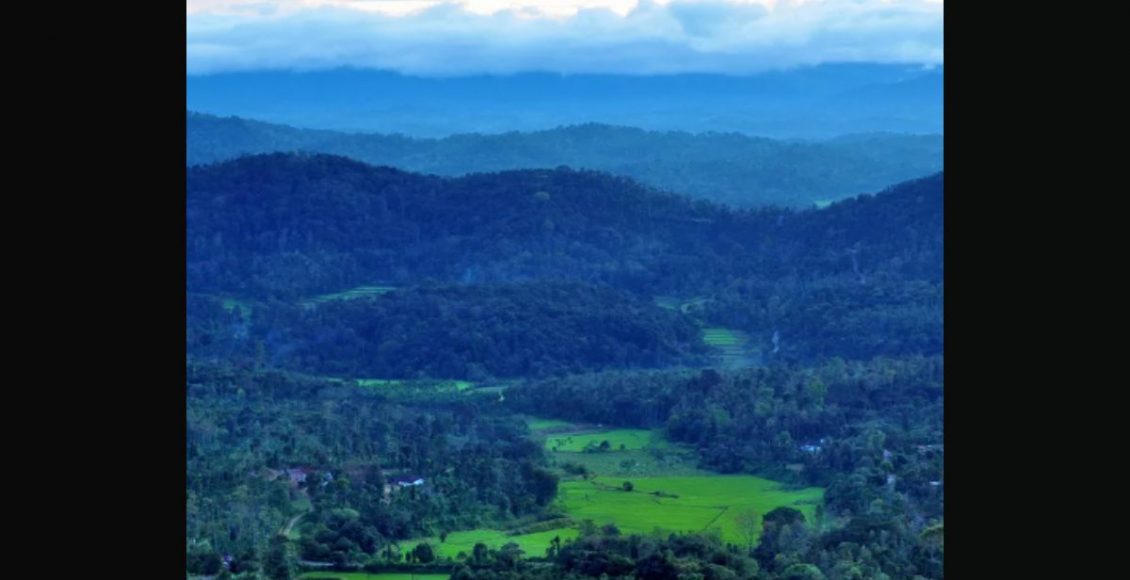 FotoJet – 2023-01-03T110821.741_11zon