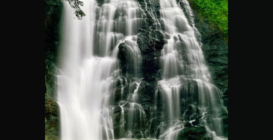 FotoJet – 2023-01-03T110905.314_11zon