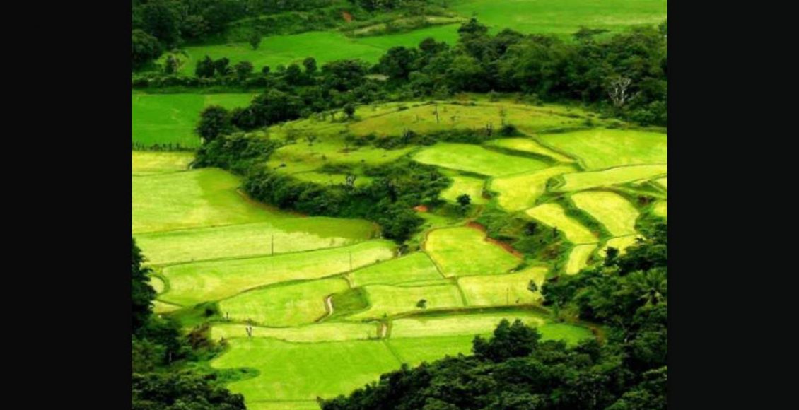 FotoJet – 2023-01-03T110941.136_11zon