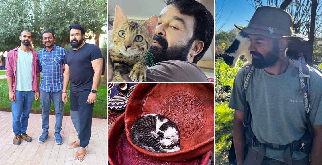 Mohanlal And Pranav Mohanlal With Cate Photos Viral Malayalam