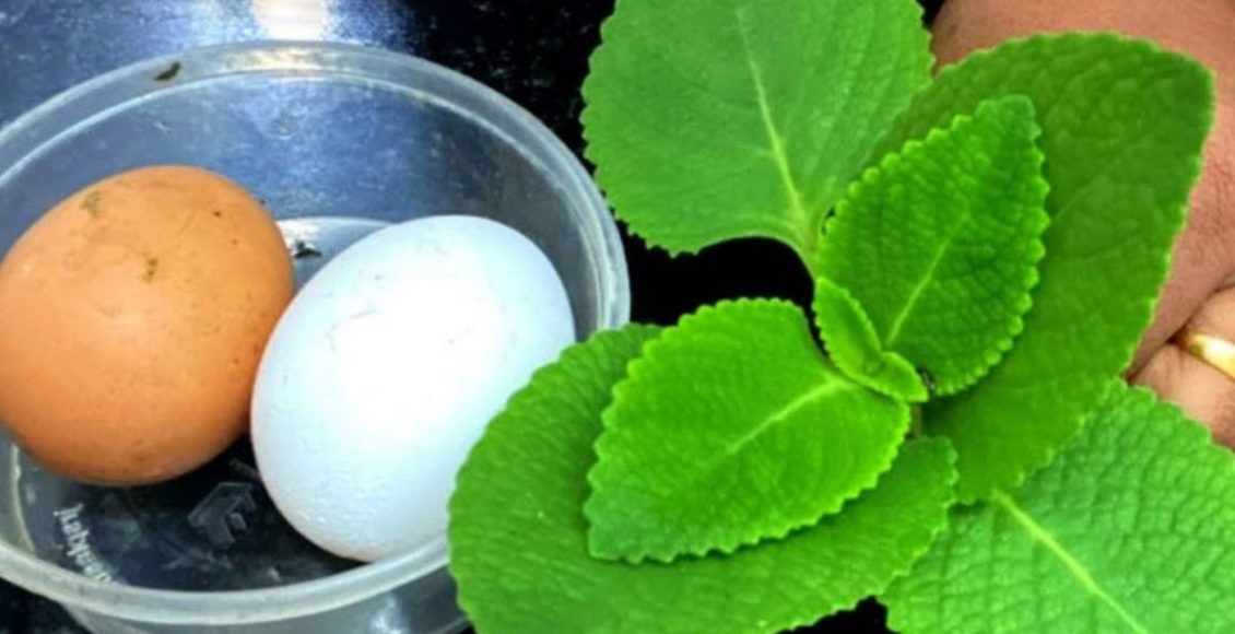 Natural Home Remedies For Knee Pain