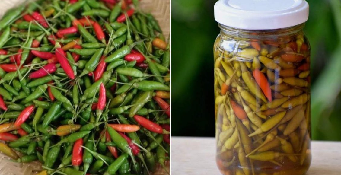 Tabasco Pepper Health Benefits