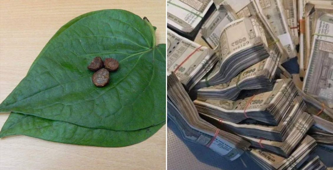 Vettila Leaf Gives Money Astrology