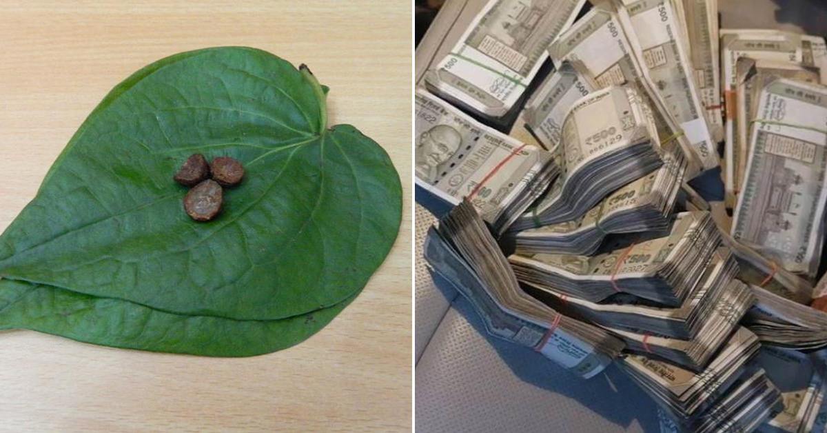 Vettila Leaf Gives Money Astrology Malayalam