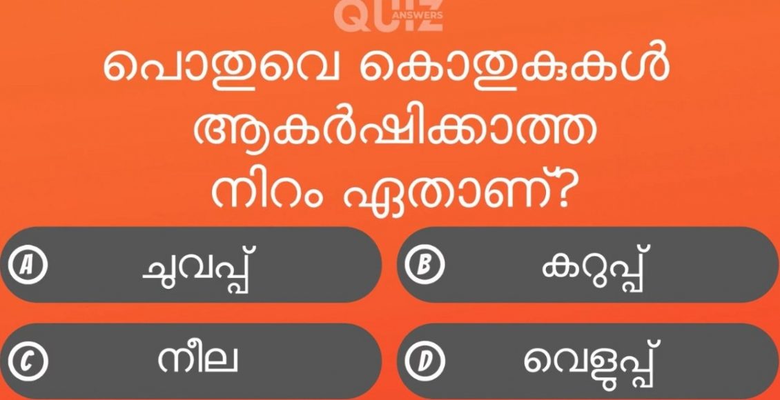 Which Color Generally Does Not Attract Mosquitoes