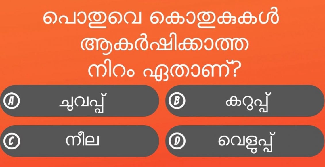 Which Color Generally Does Not Attract Mosquitoes Malayalam