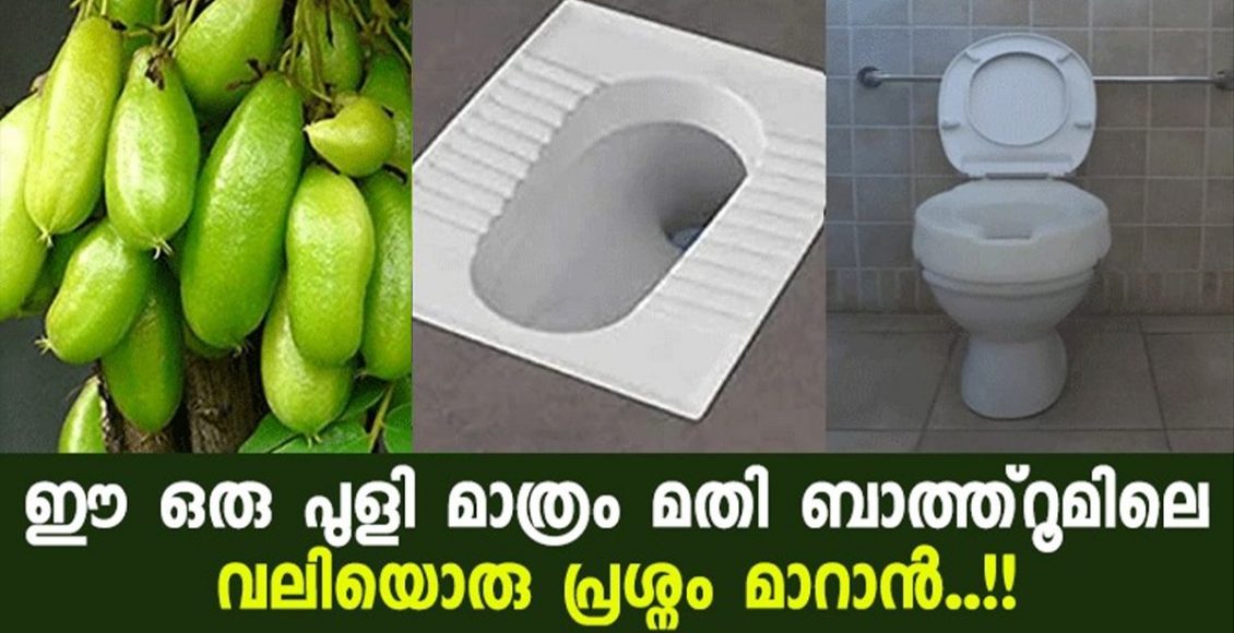 Tip To Clean Bathroom Using Irumbhanpuli
