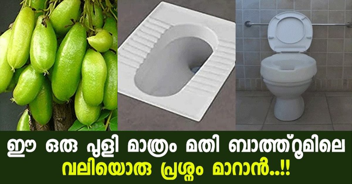 Tip To Clean Bathroom Using Irumbhanpuli